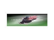 ClearVue Graphics Window Graphic 20x65 Wings of Freedom Green PAT 042 20 65
