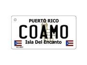 Smart Blonde KC 2831 Coamo Puerto Rico Flag Novelty Key Chain