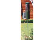 Backyard Nature Products Inc NPI431 Nature Products Green Classic Pole Mount Feeder