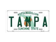 Smart Blonde LP 6011 Tampa Florida Novelty Metal License Plate