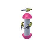 Heritage Farms Have a ball Finch Feeder Assorted 6111