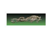 ClearVue Graphics Window Graphic 20x65 Dragon Tattoo Green TAT 051 20 65