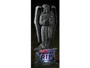 Costumes For All Occasions FW91143A Tombstone Gothic 24 Lu Angel