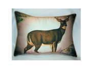 Betsy Drake HJ236 Deer in Snow Art Only Pillow 15 x22