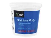 Waxman Consumer Products Group Stainless Putty 7108500N