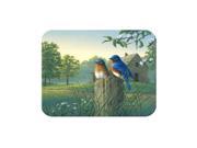 McGowan TT92382 Tuftop Country Morning Bluebirds Cutting Board Medium