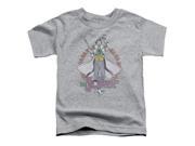 Trevco Dc Maniacal Short Sleeve Toddler Tee Heather Medium 3T