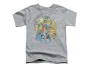 Trevco Dc Spin Circle Fight Short Sleeve Toddler Tee Heather Large 4T