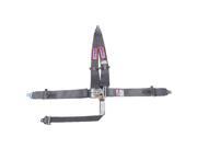 RJS Racing Equipment 1014307 2 in. 7-Point Junior Dragster SFI 16.1 Latch & Link Harness, Gray RJS Racing Equipment 1014307 2 in. 7-Point Junior Dragster SFI 16.1 Latch & Link Harness, Gray