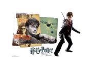 Advanced Graphics WJ1129 24 x 36 in. Harry Potter - Harry Potter 7