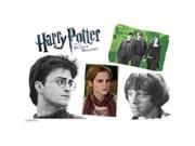 Advanced Graphics WJ1128 24 x 36 in. Harry Potter Group - Harry Potter 7