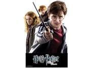 Advanced Graphics WJ1127 24 x 36 in. Harry Potter Group 02 - Harry Potter 7