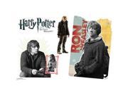 Advanced Graphics WJ1134 24 x 36 in. Ron Weasley - Harry Potter 7
