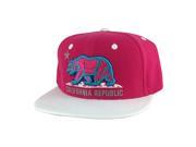 California Republic Snapback Hat Cap Pink Aqua White 2tone