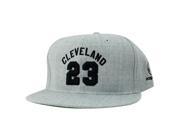 Cleveland King Lebron 23 Snapback Hat Cap Heather Grey Black