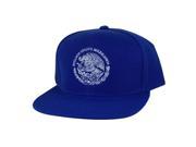 Mexico Seal Flag Flat Bill Snapback Hat Cap by Caprobot Blue White