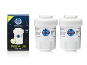 2 X Purity Pro PF03 Replacement Filter for GE MWF Smart Water MWFP