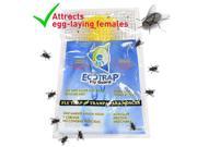 Jumbo Fly Trap Traps up to 40 000 flies Triple Pack JFT03