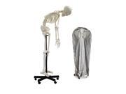 Vision Scientific VAS229 Full Size Flexible Human Skeleton 67 170cm including DCA 01 Thick Zip Dust Cover