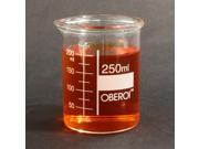 250 ml Glass Beaker Low Form Graduated with Spout