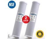 2 Pack Hydronix CB 45 2005 CTO Whole House Coconut Shell Carbon Block Water Filters Big Blue Size 20 x 4.5 5 micron