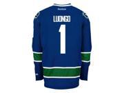 Roberto Luongo Vancouver Canucks NHL Home Reebok Premier Hockey Jersey