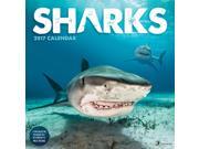 Sharks Wall Calendar by TF Publishing