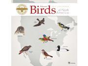 Peterson Field Guide Birds Wall Calendar by TF Publishing