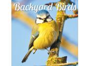 Backyard Birds Mini Wall Calendar by TF Publishing