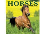 TF Publishing 2017 Horses Mini Calendar 17 2007