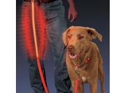 Nite Dawg LED Pet Leash