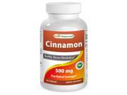 Best Naturals Cinnamon 500 mg 250 Capsules