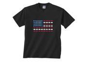 Fish USA American Flag Fishing T Shirt