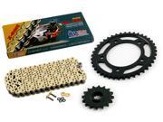 2001 Honda VTR100F Super Hawk CZ SDZ Gold X Ring Chain Sprocket Kit 16 41 110L