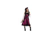 Disguise Costumes Pirate s Pleasure Adult Halloween Costume M L 10 14