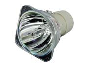 Kingoo Original Projector Bare Bulb BL FU190C PQ684 2400 For OPTOMA BR303 BR320 H100 Lamp 150 days warranty