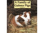 A Family of Guinea Pigs Animal Families