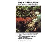 Marine Invertebrates and Plants of the Living Reef