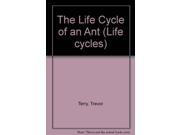 The Life Cycle of an Ant Life cycles