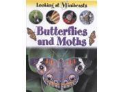 Butterflies and Moths Looking at Minibeasts
