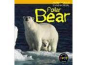 Polar Bear Animals in Danger