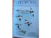 Wildfowl An Identification Guide