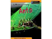 Animal Groups Life in a Colony of Ants Hardback