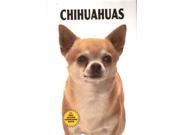 Chihuahuas KW