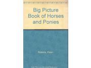 Big Picture Book of Horses and Ponies