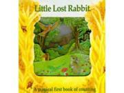 Little Lost Rabbit Magic Windows Pull the Tabs! Change the Pictures!