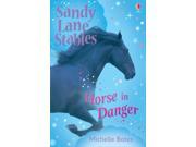 Horse in Danger Sandy Lane Stables