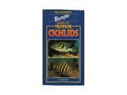 A Popular Guide to Tropical Cichlids
