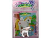 Sweetheart s Day Out Pretty Pony Club Storybooks