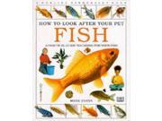 Fish How to Look After Your Pet